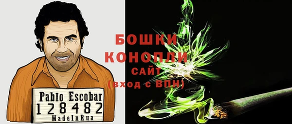 соль ск Богданович