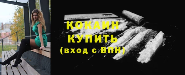 СК Богородск