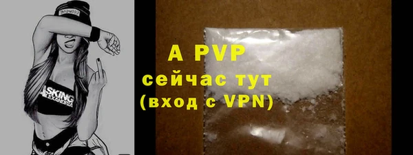 PSILOCYBIN Бугульма