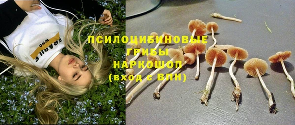 прущая мука Богородицк