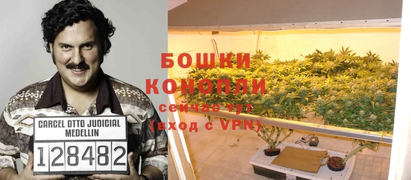 прущая мука Богородицк