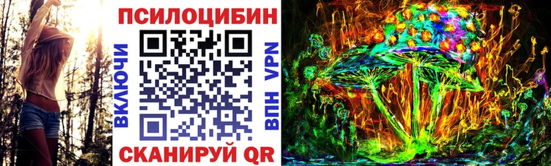 как найти закладки  Бежецк  Псилоцибиновые грибы ЛСД 